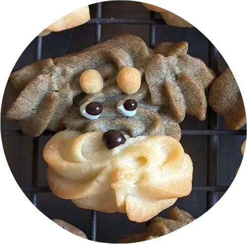 シュナウザー